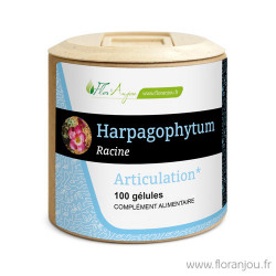 Gélules Harpagophytum racine