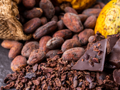 Le grué de cacao : définition, histoire et utilisations ! 